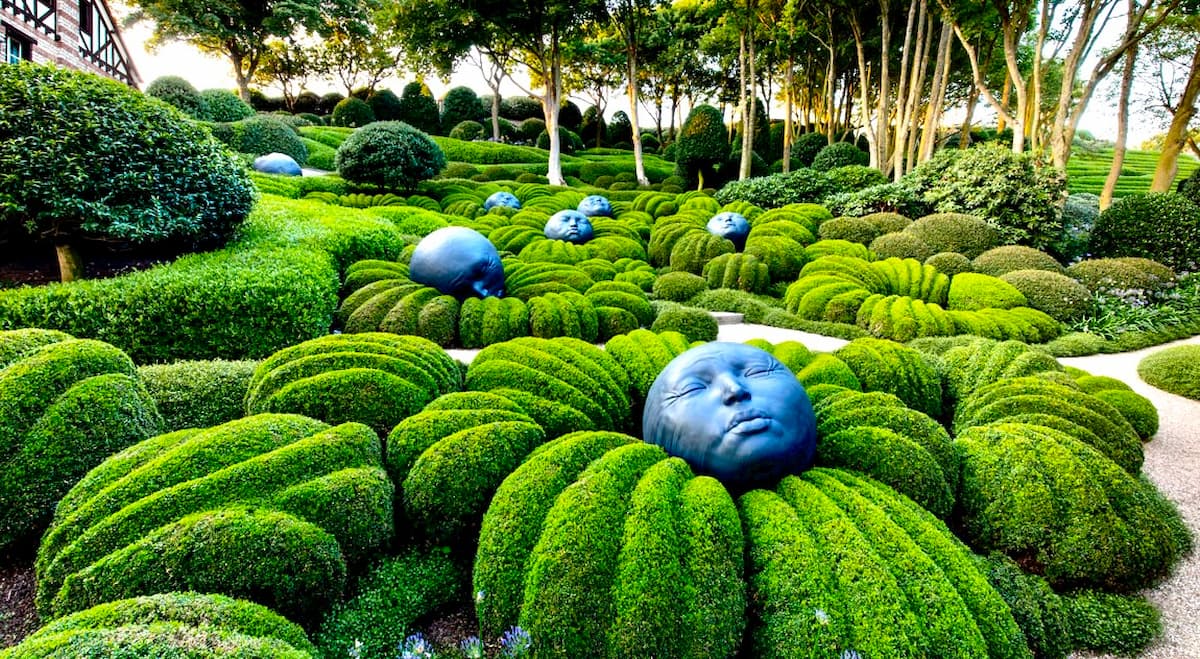 Explorez vos émotions